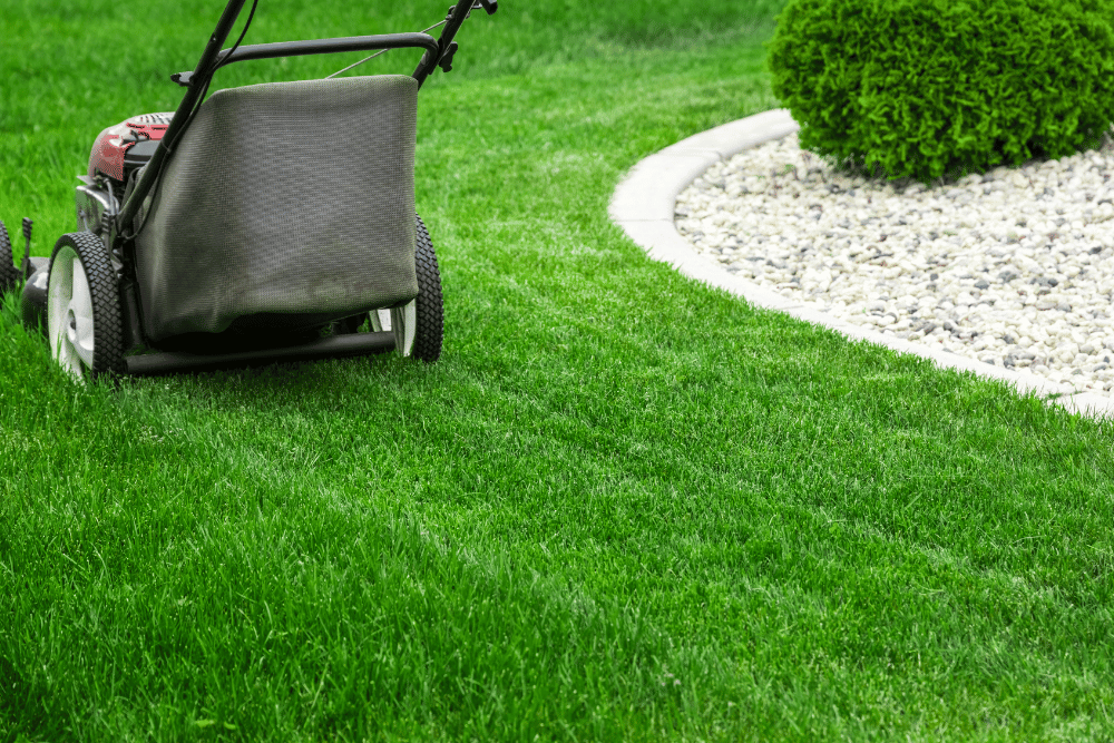 Bi-weekly lawn mowing on a residential property in League City