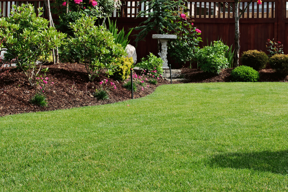League City lawn maintained on an every-two-weeks mowing schedule
