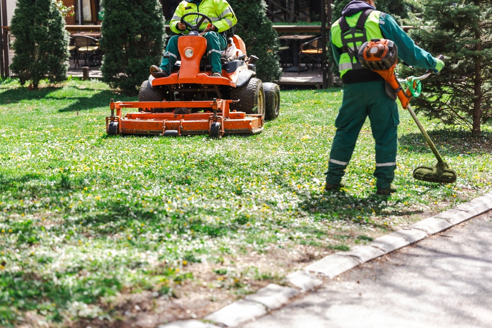 Top 5 Residential Landscaping Companies in League City, TX