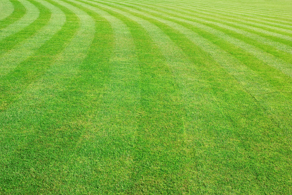 Professional lawn mowing service at a residential property in Webster, TX