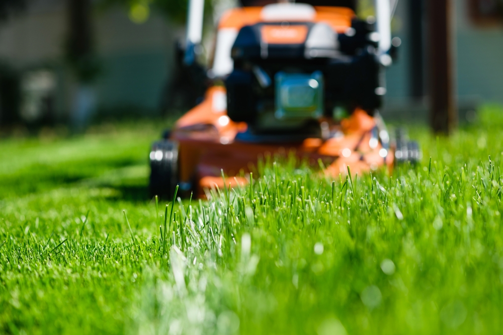 Tree Trimming vs. Lawn Mowing Price Comparison in League City, TX