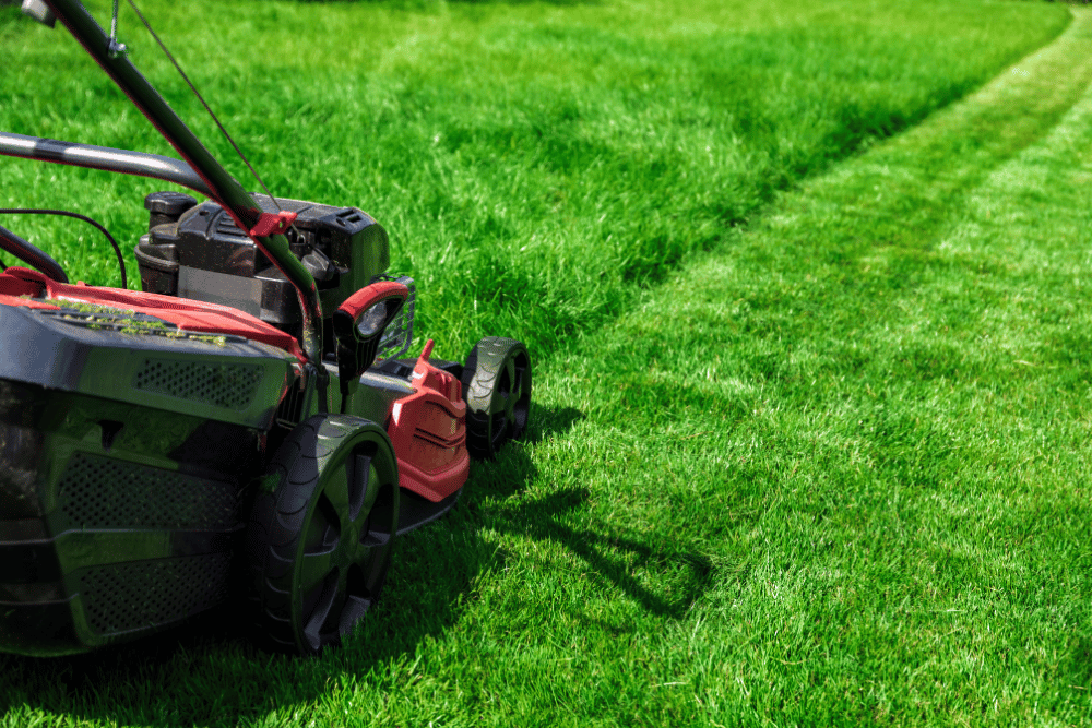 Monthly lawn mowing service for a property in League City