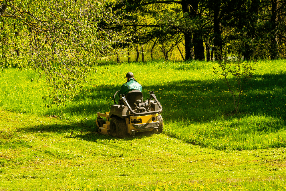 Weekly lawn mowing service maintaining a residential yard in League City