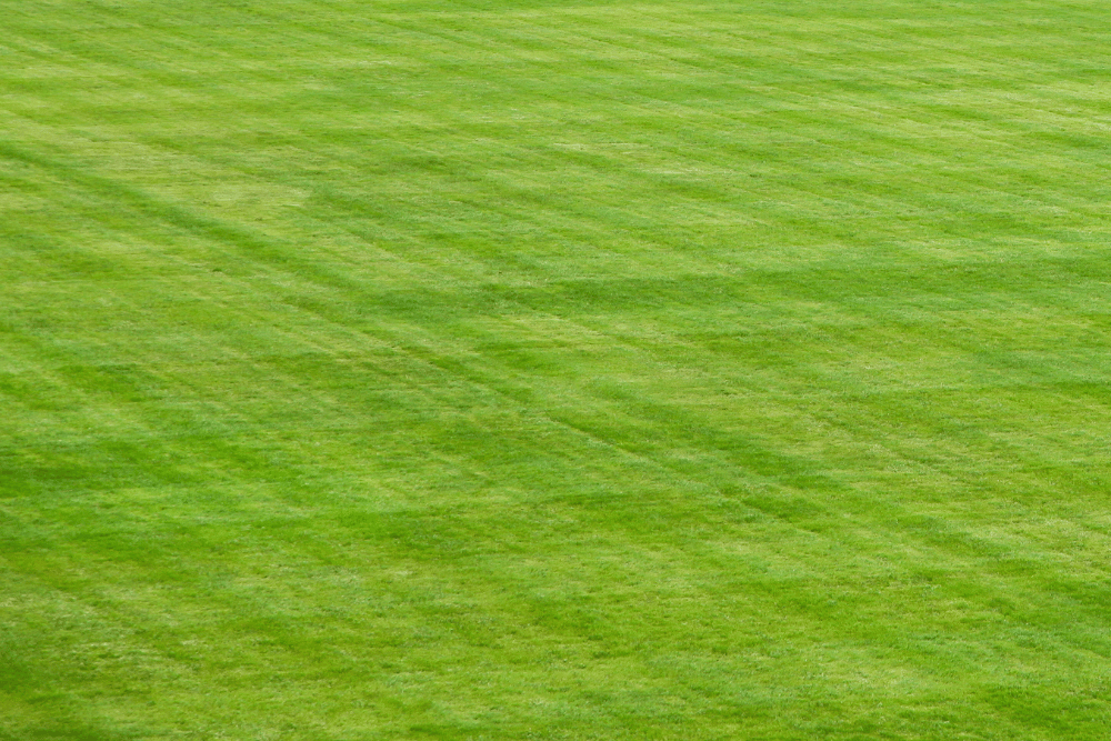 Professionally maintained Webster lawn on a weekly mowing schedule