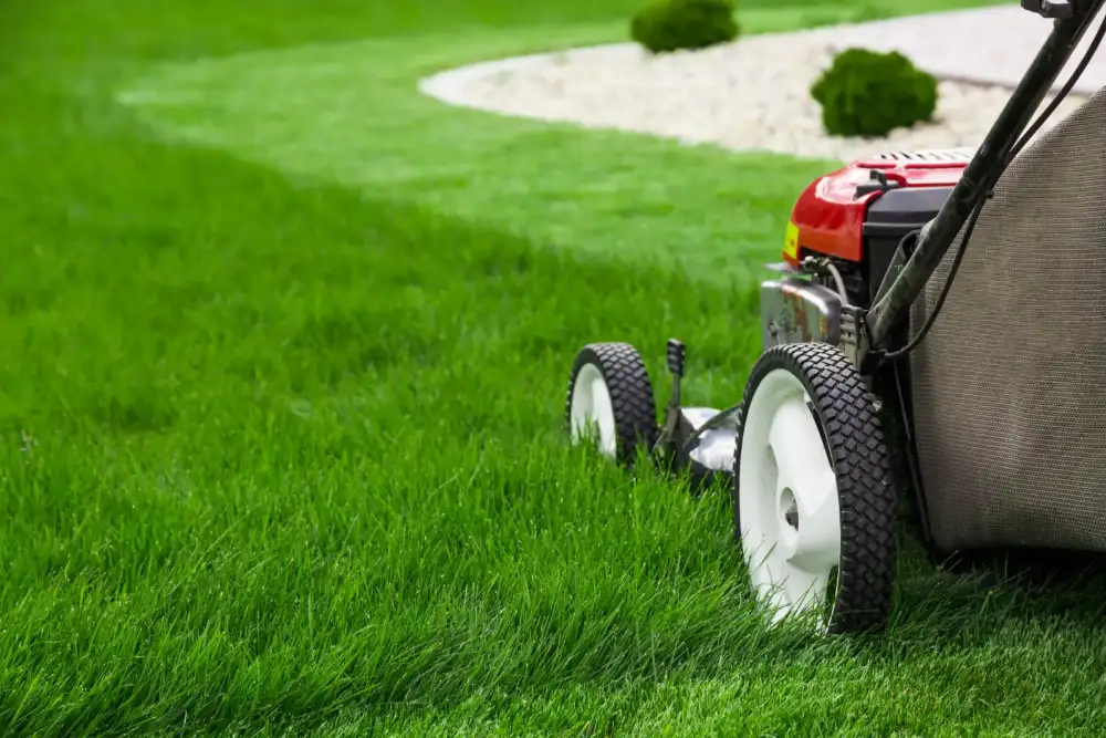 Lawn Mowing Contractors in League City